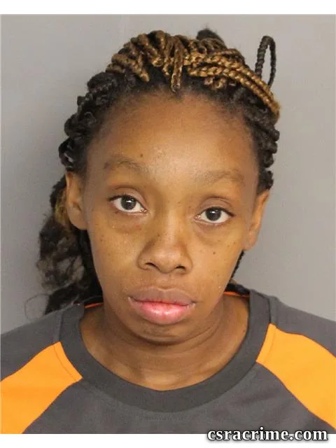 Vanessa Morring booking photo