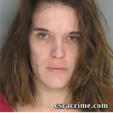 Vanessa Sibley booking photo