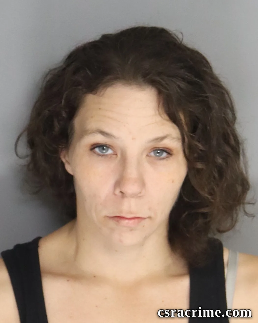 Vanessa Sokolowski booking photo