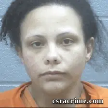 Vanessa Wright booking photo