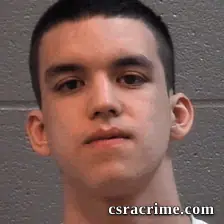 Vaughn Verdi booking photo