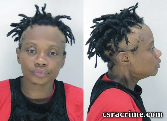 Vernitta Lee booking photo
