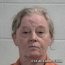 Vicky Ann Robertson booking photo