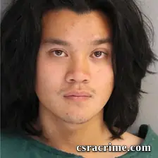 Victor Nguyen booking photo