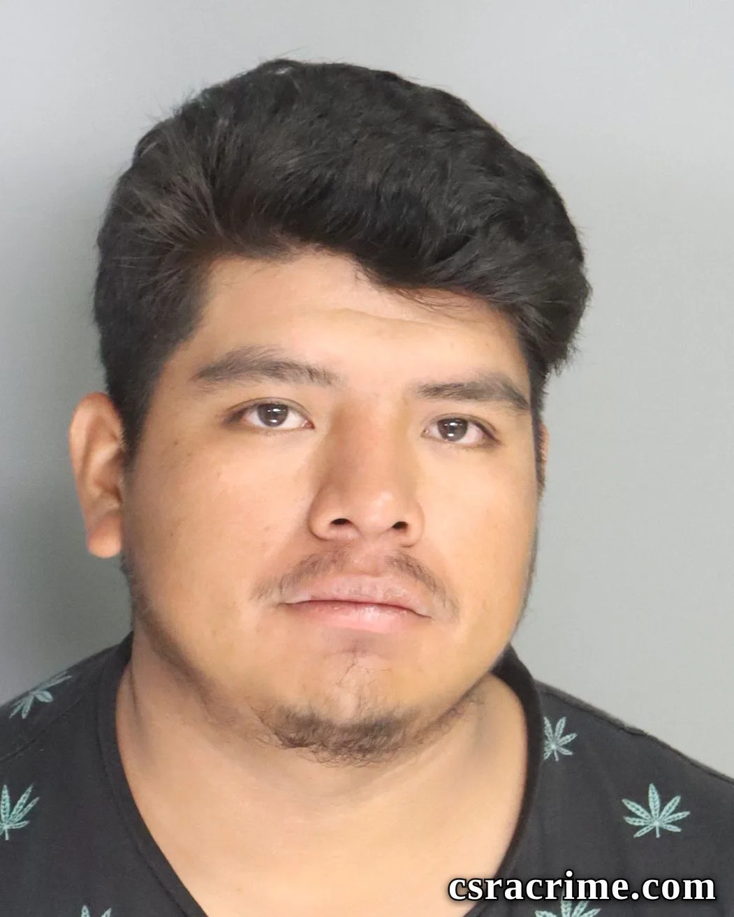 Victor Paulino Martinez booking photo
