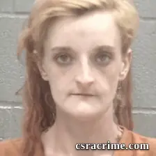 Victoria Faye Collins booking photo
