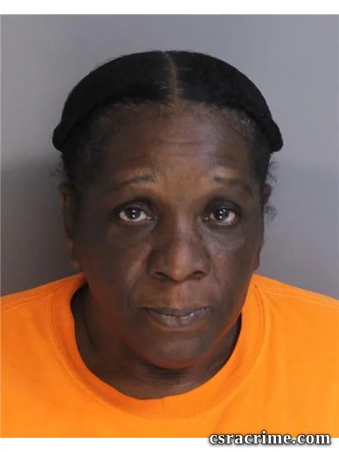 Victoria Johnson booking photo