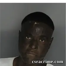 Victoria Thomas booking photo