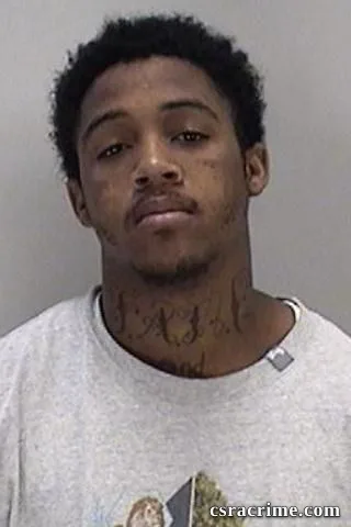 Videz Graham booking photo