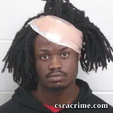 Vijay Swint booking photo