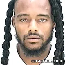 Vincent Williams booking photo