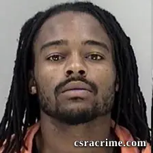 Vincent Williams booking photo