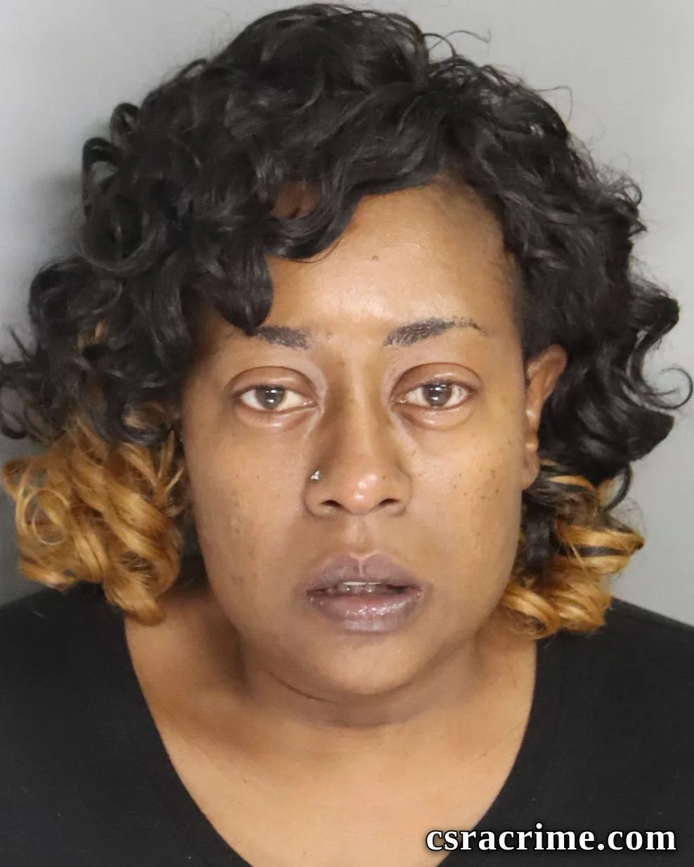 Virginia Devine booking photo