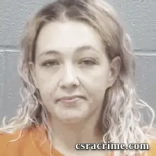 Virginia Fairfax booking photo