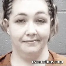 Virginia Fairfax booking photo