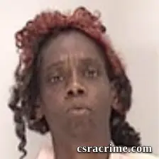 Virginia Janice Grant booking photo