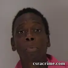 Virginia Janice Grant booking photo