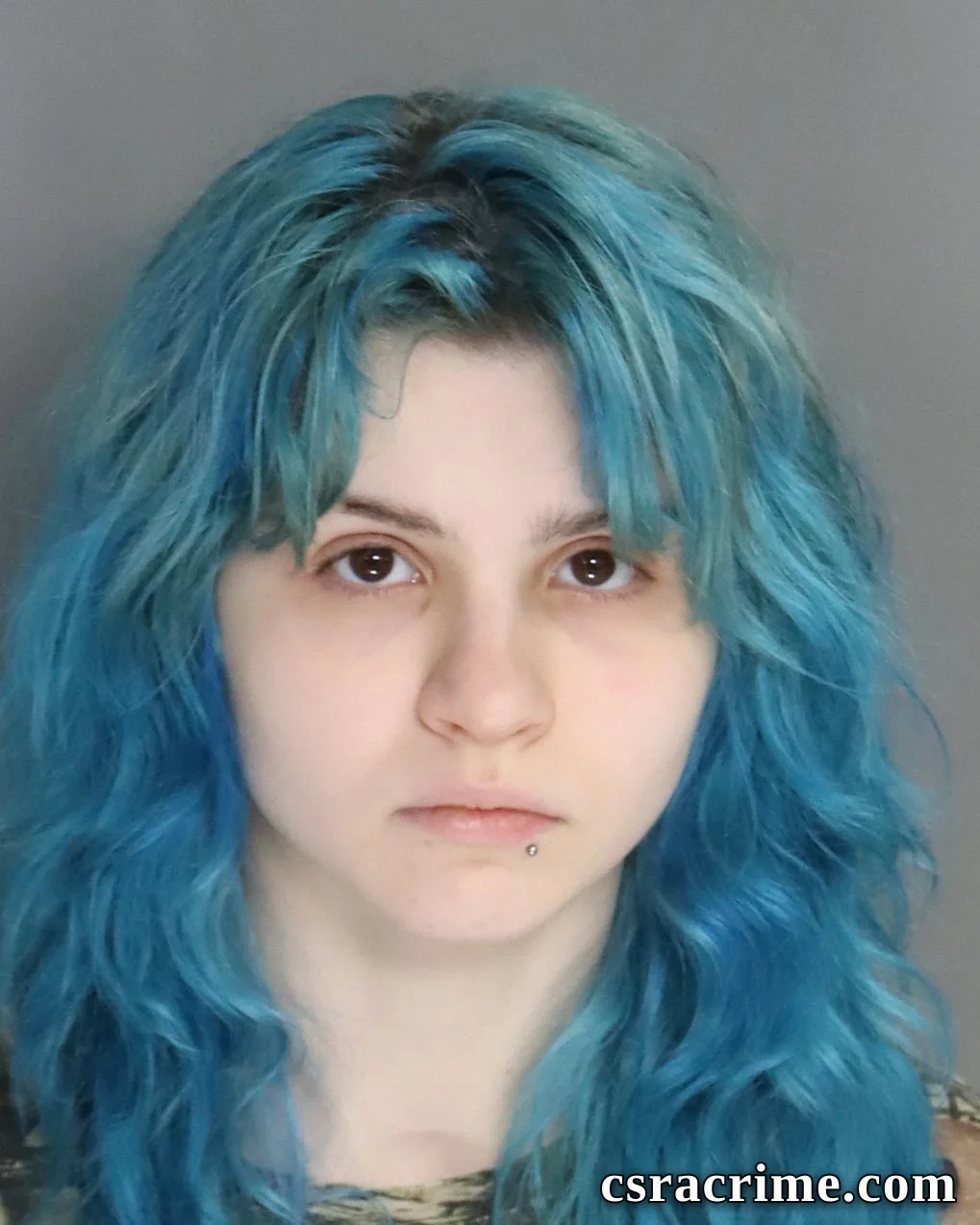 Vivian Terry booking photo