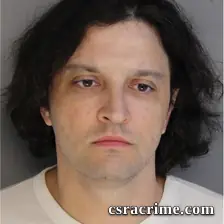 Vladimir Levin booking photo