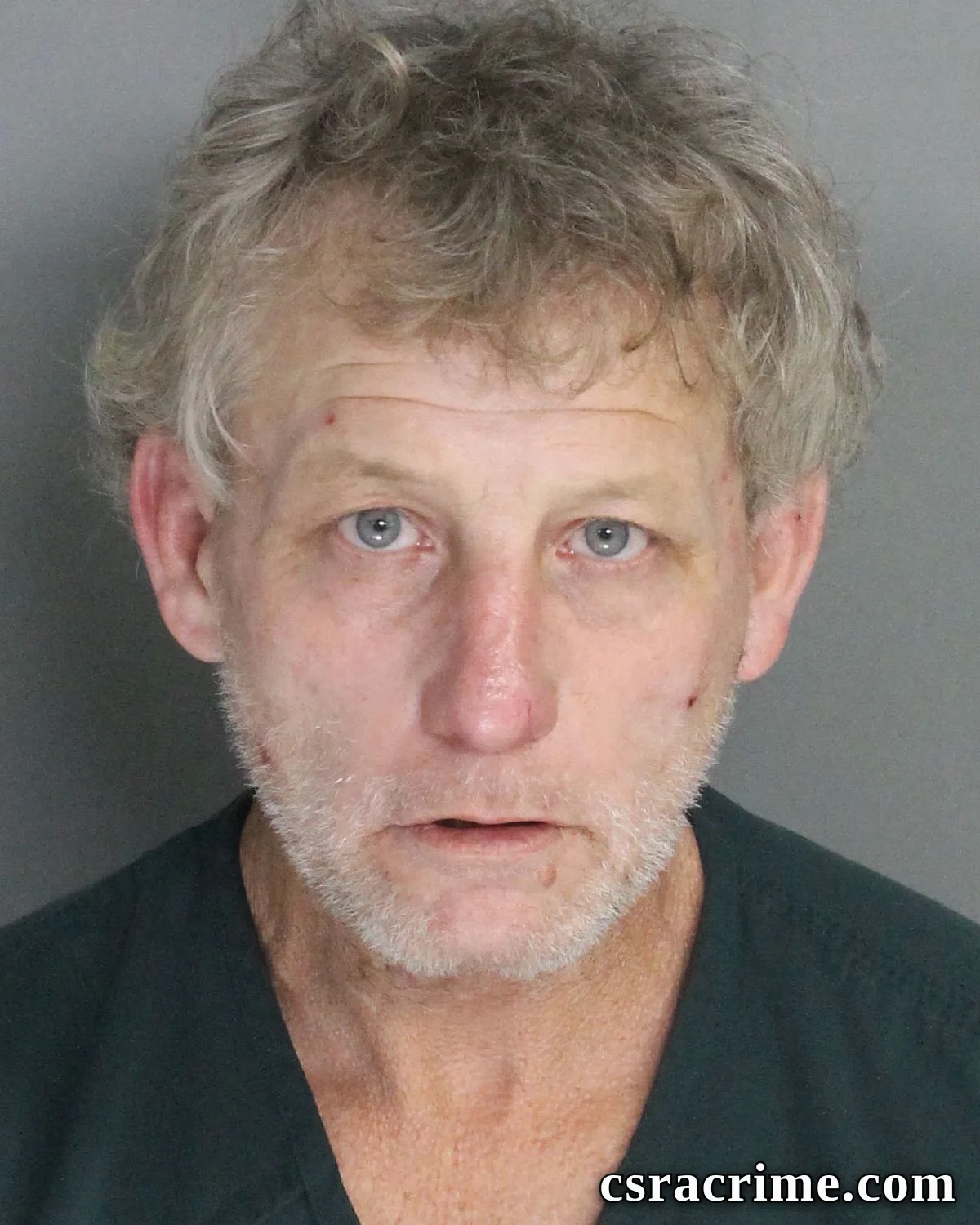 Wade Wilson booking photo