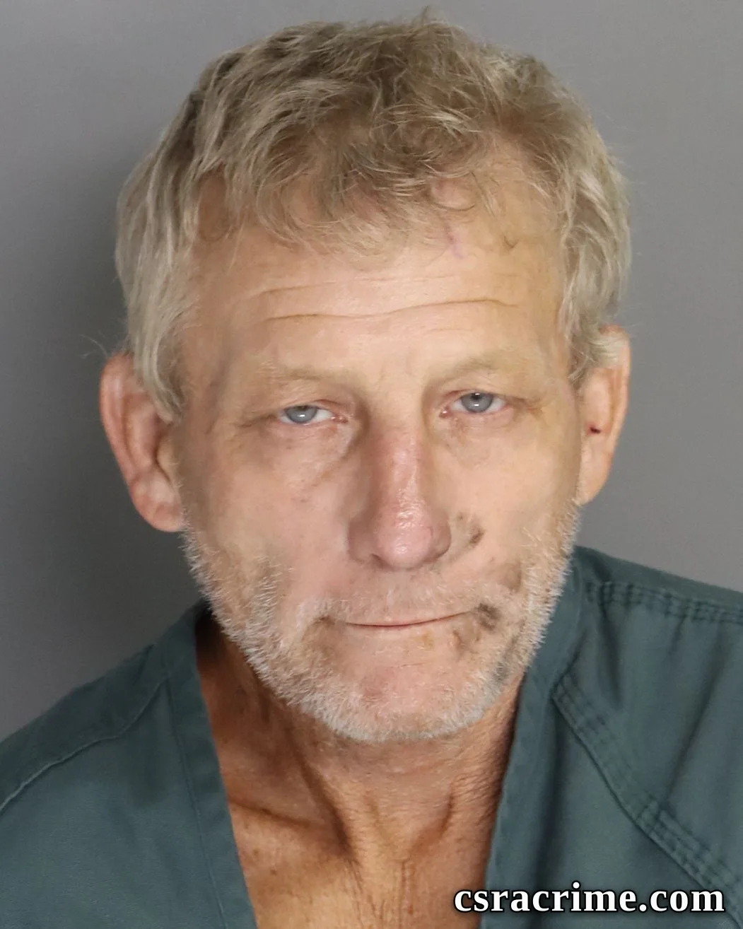 Wade Wilson booking photo