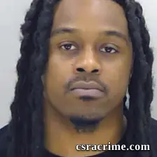 Wallace Johnson JR booking photo