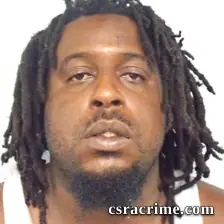 Wallace Shannon Lane booking photo