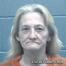 Wanda Cliett booking photo