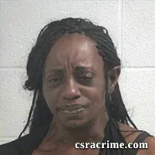 Wanda Singleton Ferguson booking photo