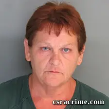 Wanda Wilkey booking photo