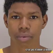 Wayne Cardaro Hankinson JR booking photo
