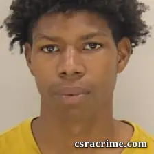 Wayne Cardaro, Hankinson JR booking photo