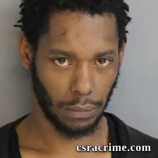 Wayne Freeman JR booking photo