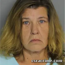 Wendi Nelson booking photo