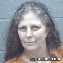 Wendy Stahl booking photo