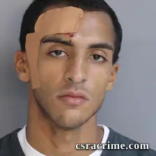 Wesley Mcknabb booking photo