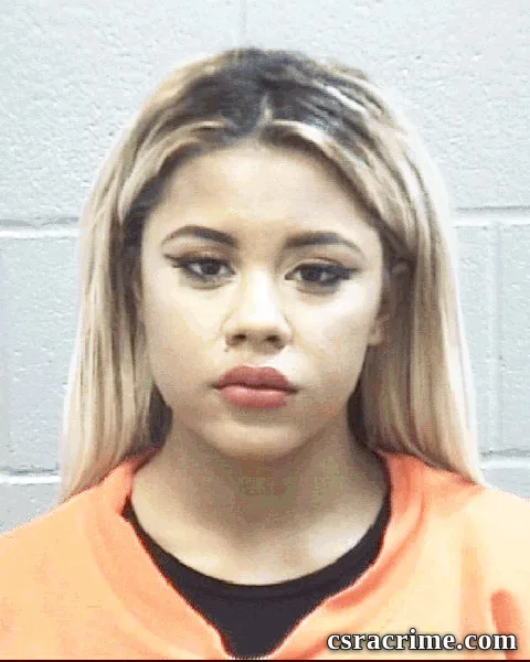 Whitney Simmons booking photo