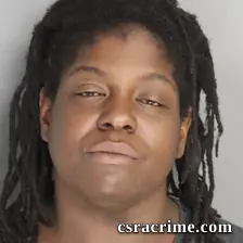 Whitney Simmons booking photo
