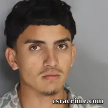 Wilder Samir booking photo