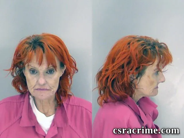 Willa Barnes booking photo