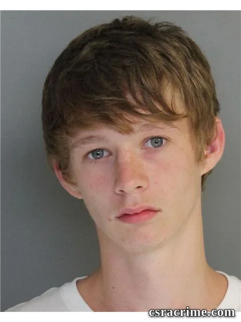 William Arthurs booking photo