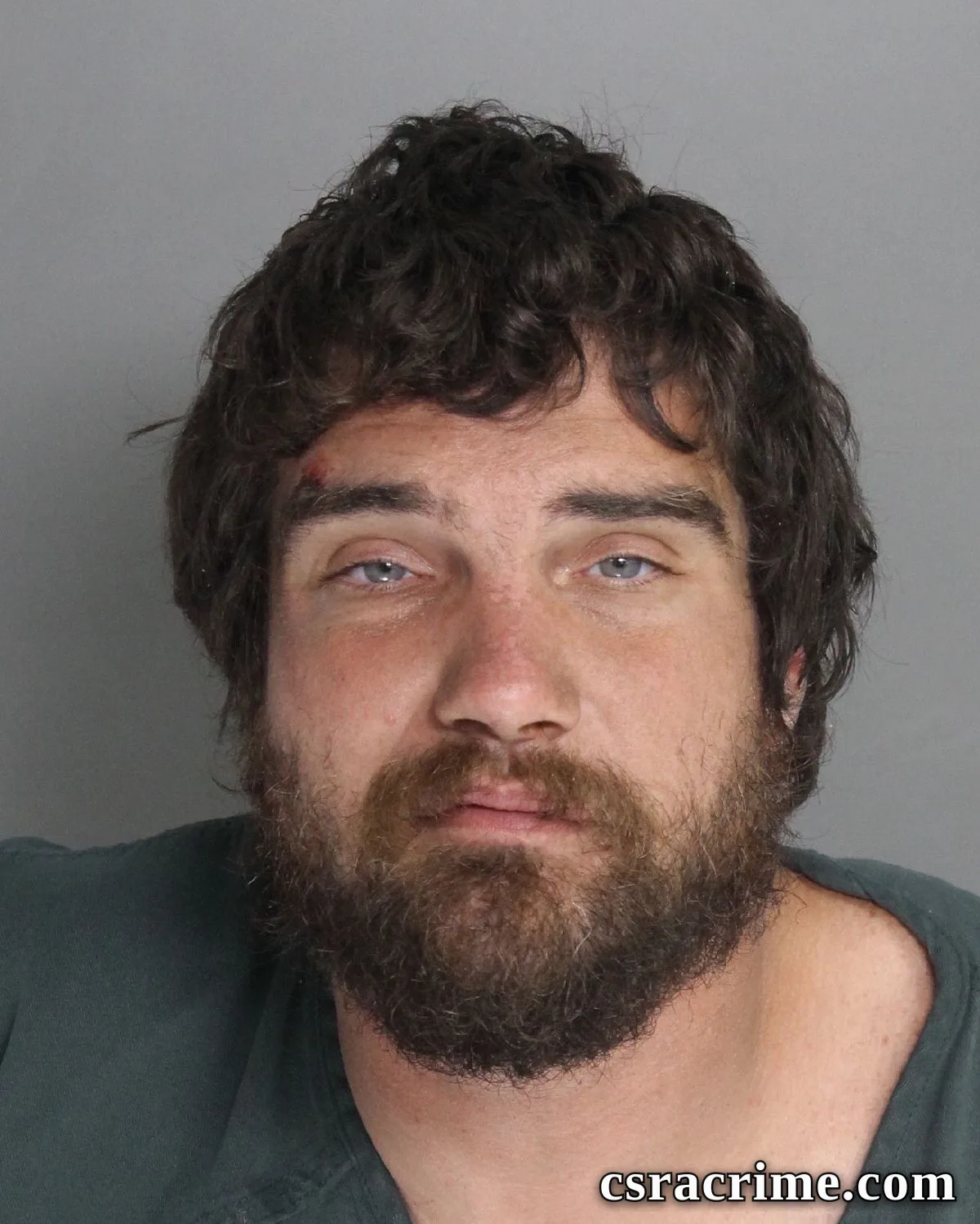 William Brickle booking photo