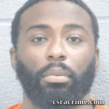 William Johnson JR booking photo