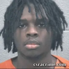 William Lewis booking photo