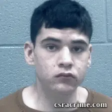 William Mctaggart booking photo