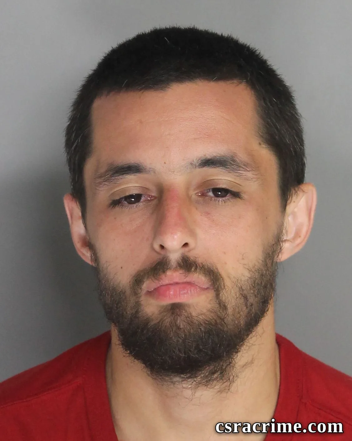 William Price IV booking photo
