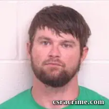 William Tyler Davis booking photo