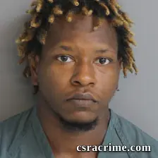 Williamenia Floyd booking photo