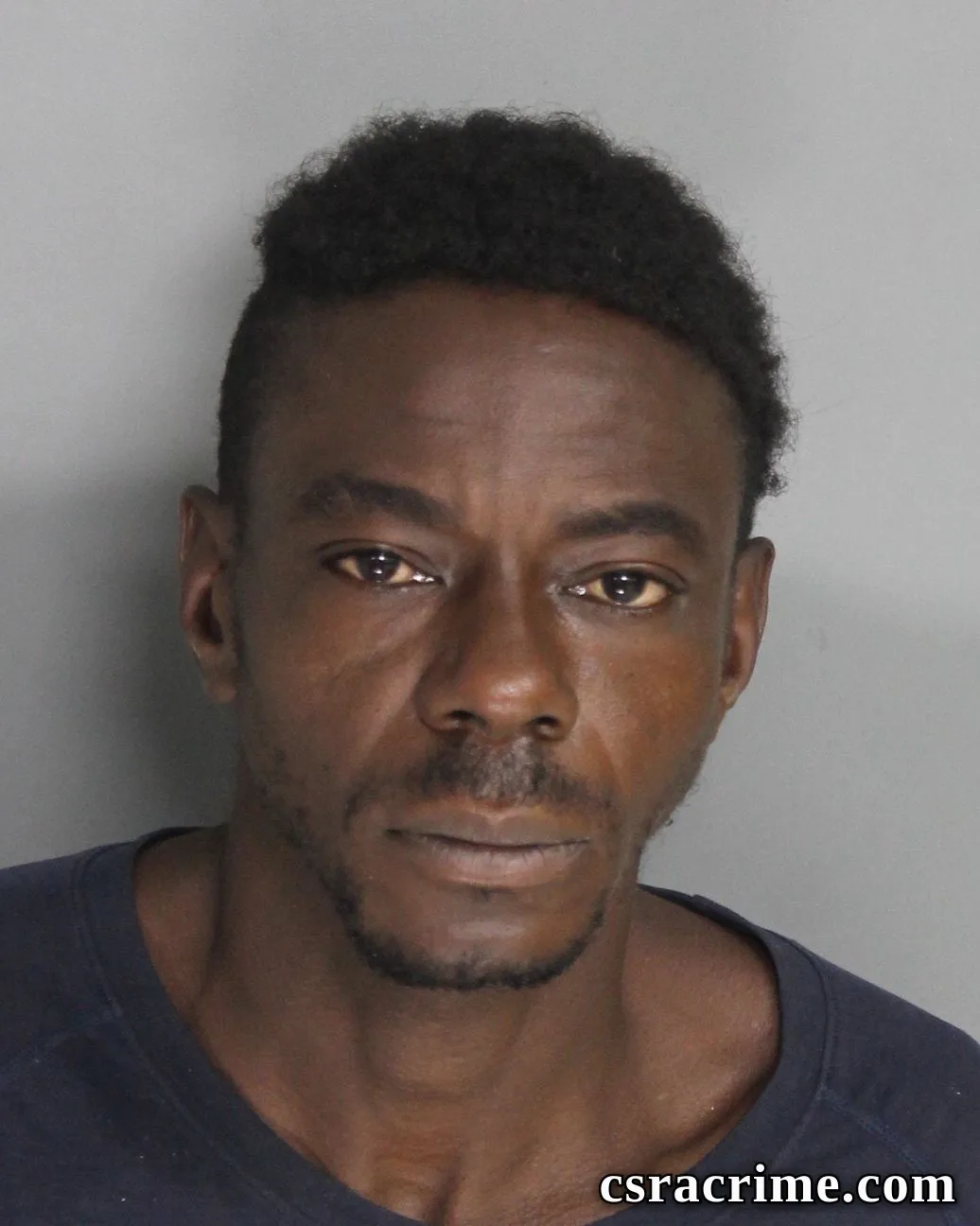 Willie Ferrell booking photo
