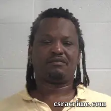 Willie Kim Young booking photo